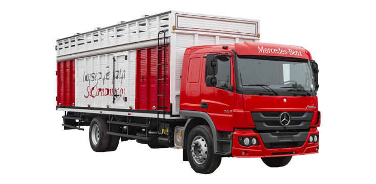 Aplicaciones Frecuentes Atego 1419 - DIVEMOTOR