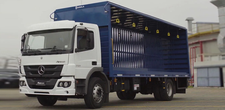 Pesos del Atego 1726 Atego 1726 - DIVEMOTOR