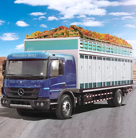 Eficiencia-Atego 1721-DIVEMOTOR